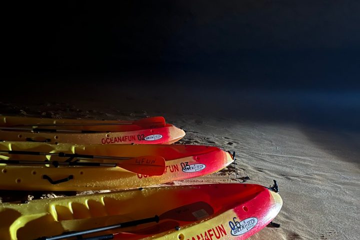 a boat sitting in the sand