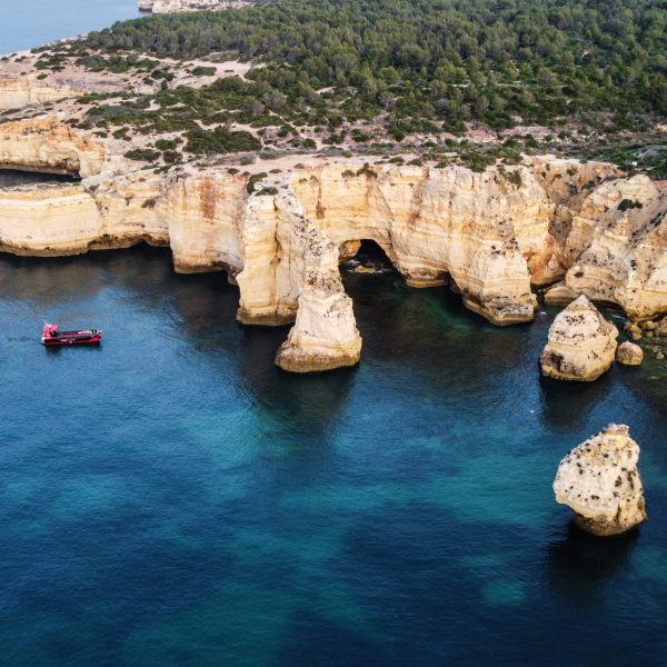 a close up of a rock next to a body of water
