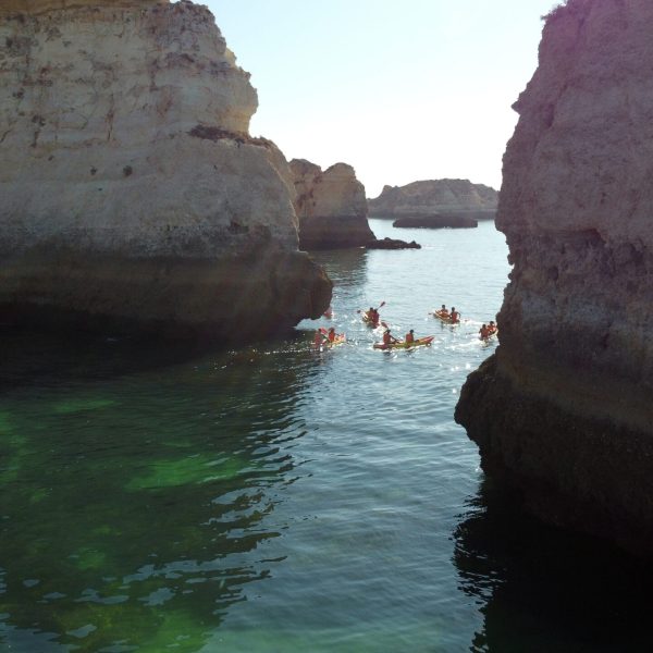 a close up of a rock next to a body of water